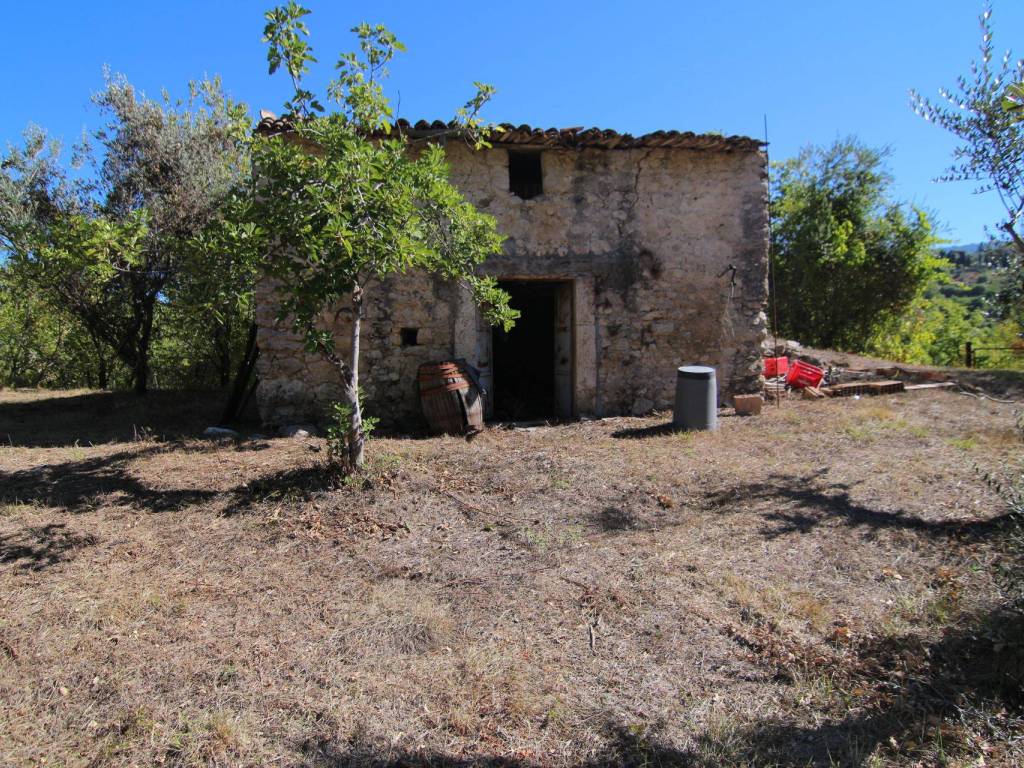 Rustico / casale a Poggio moiano in Via delle Cave - Foto 2