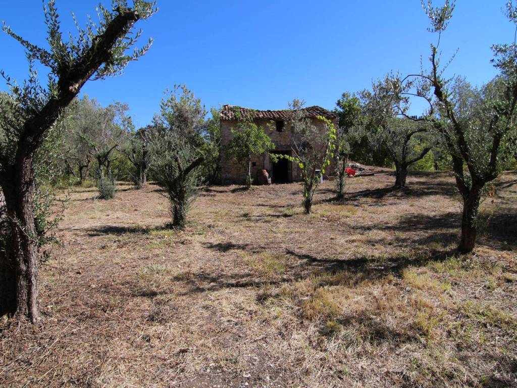 Rustico / casale a Poggio moiano in Via delle Cave - Foto 4