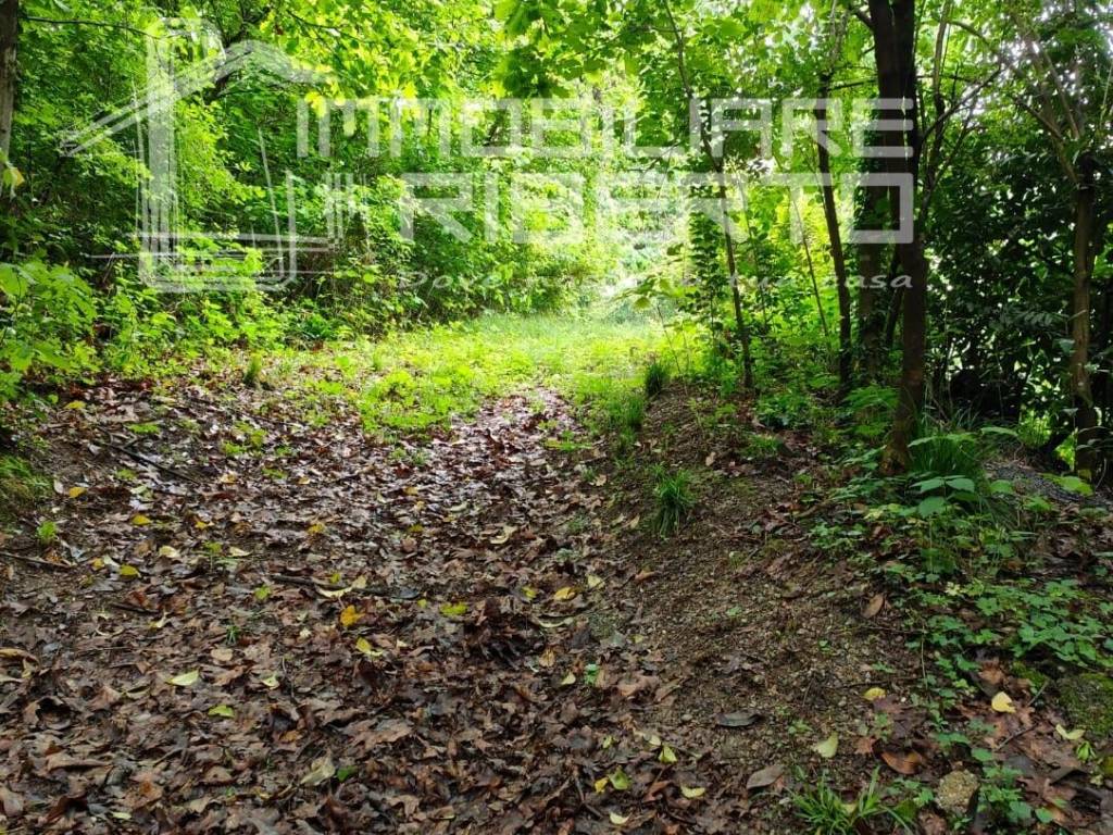 Terreno a Santa maria hoè - Foto 3