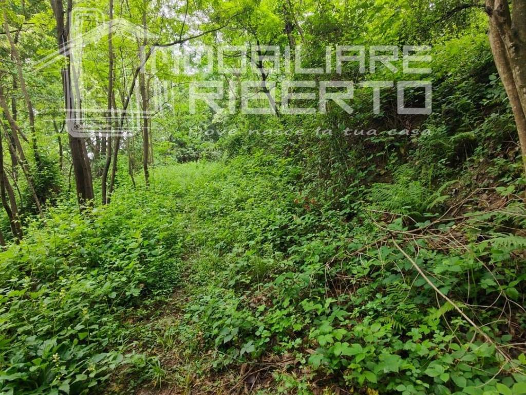 Terreno a Santa maria hoè - Foto 5