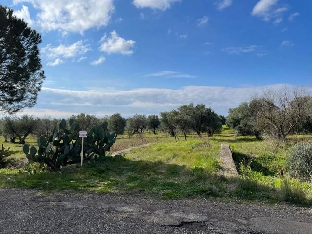 Terreno a Ginosa in Contrada Pescone S.N.C. - Foto 3