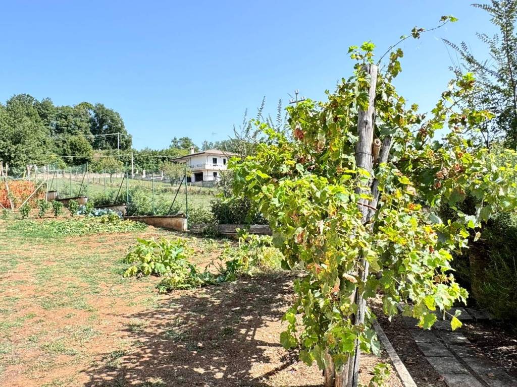 Casa indipendente a Trivigliano in Via Cerreta, 59 - Foto 4