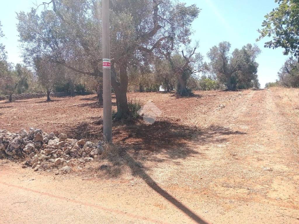 Terreno a Carovigno in Contrada Correo - Foto 2