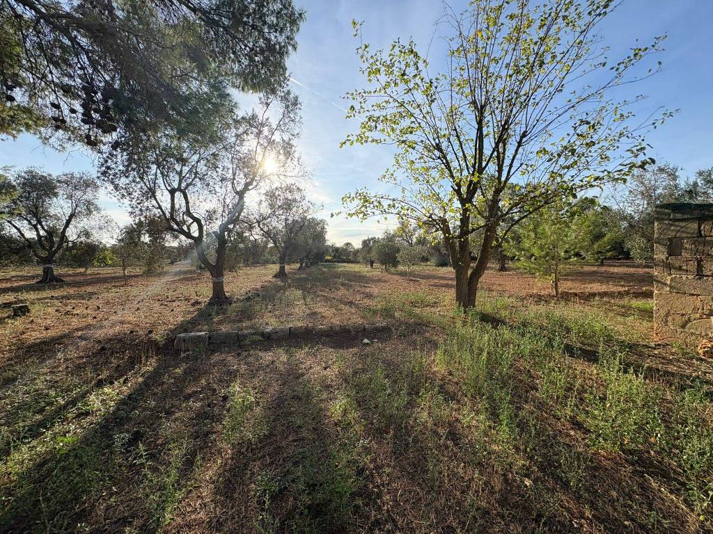 Appartamento a Manduria in Contrada Torre Bianca - Foto 4