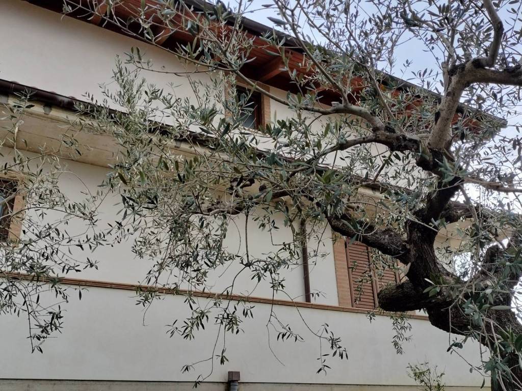 Villa a Collecorvino in Via Belvedere - Foto 4