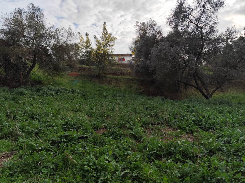 Terreno a Aprilia in Vie delle Begonie - Foto 2
