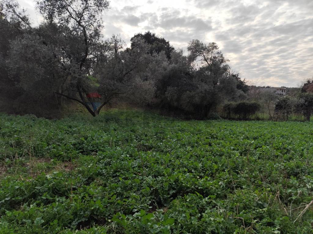 Terreno a Aprilia in Vie delle Begonie - Foto 3