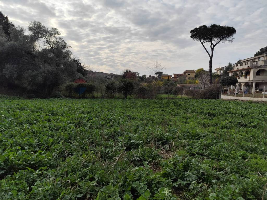 Terreno a Aprilia in Via delle Begonie - Foto 4