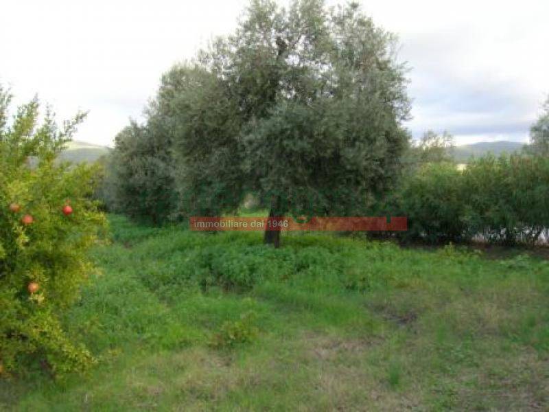 Villa a Bibbona - Foto 3