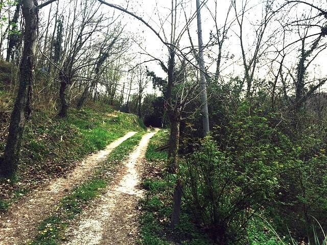 Terreno a Pieve di soligo in Via Costa De Val - Foto 2