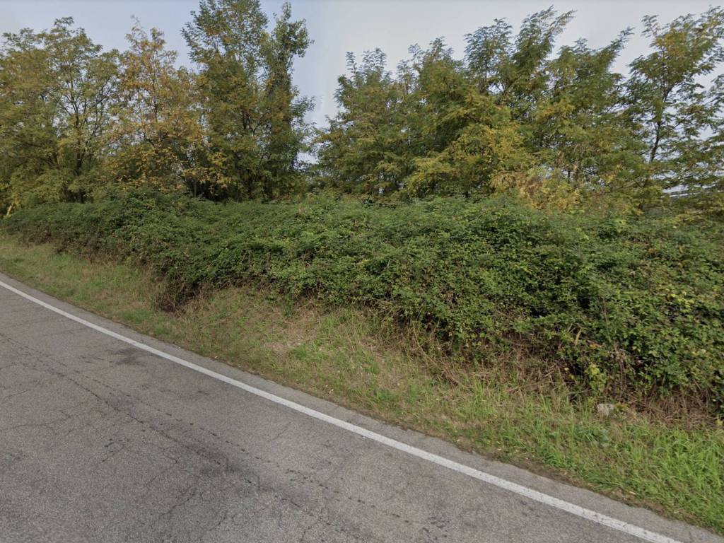 Terreno a Bussolengo in Strada Comunale San Vito - Foto 2