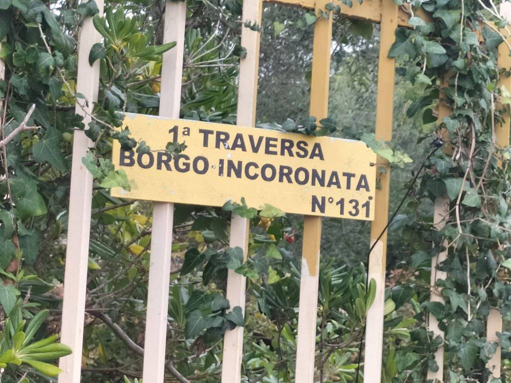 Villetta a schiera a Cassano delle murge in Strada Provinciale Cassano delle Murge-Mercadante, 131 - Foto 2