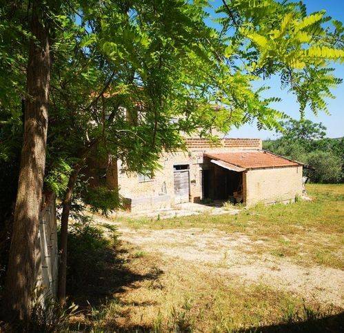 Rustico / casale a Collecorvino in Viale Dei Pini - Foto 3