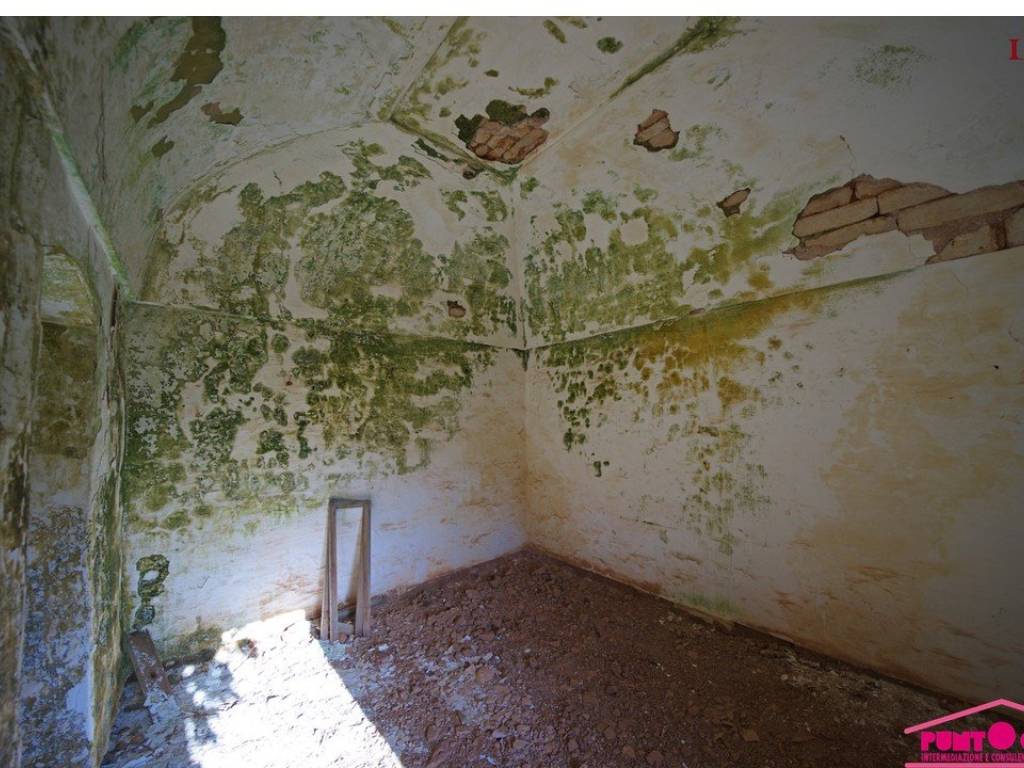 Rustico / casale a Ostuni in Cisternino - Foto 2