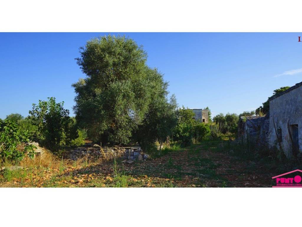 Rustico / casale a Ostuni in Cisternino - Foto 3