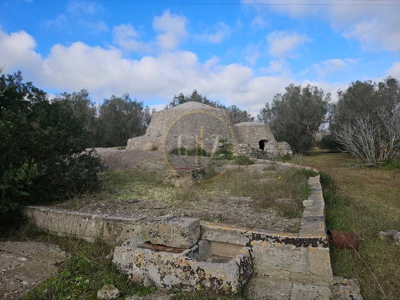 Terreno a Carpignano salentino in Strada Vicinale Limbi - Foto 5