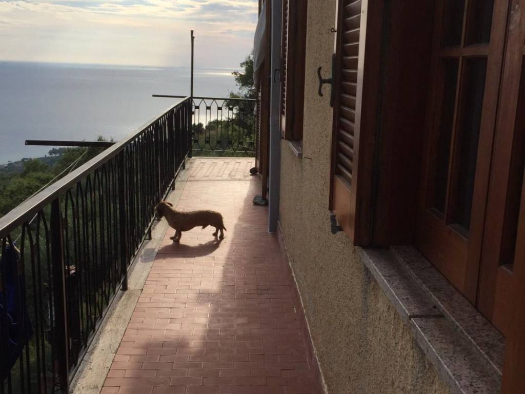 Villa a Joppolo in Contrada Calafatoni - Foto 3