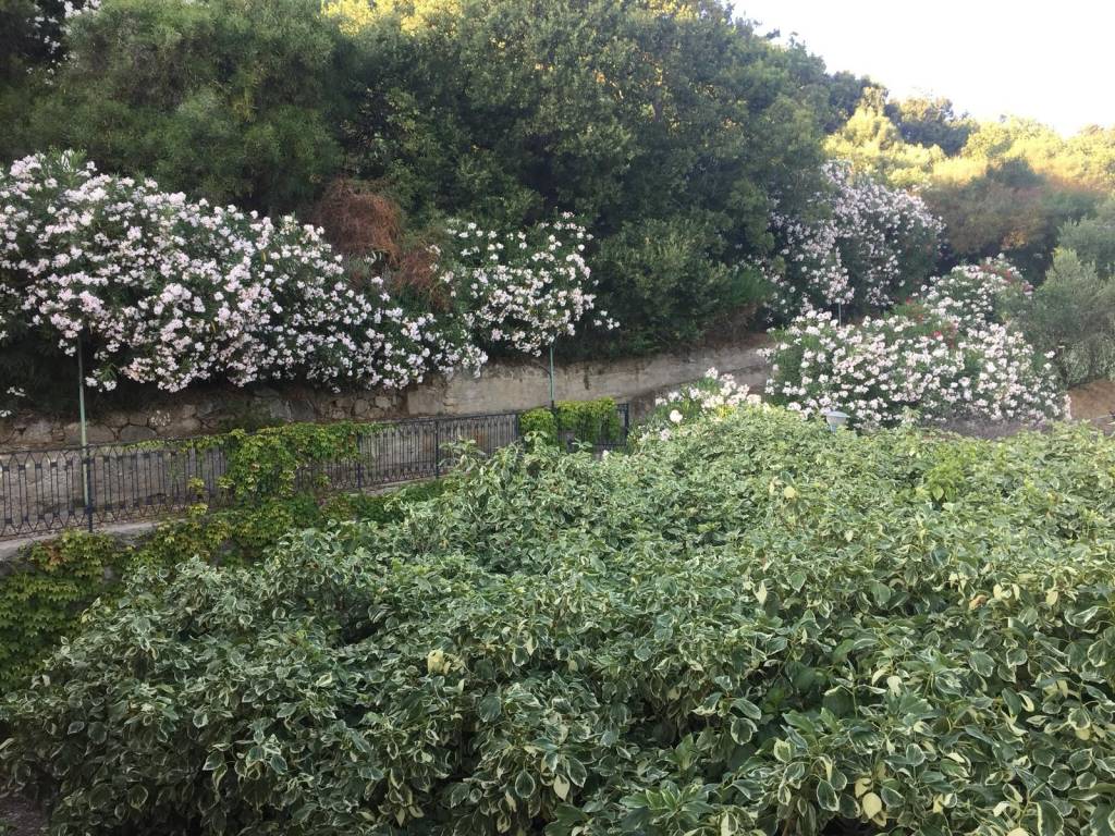 Villa a Joppolo in Contrada Calafatoni - Foto 5