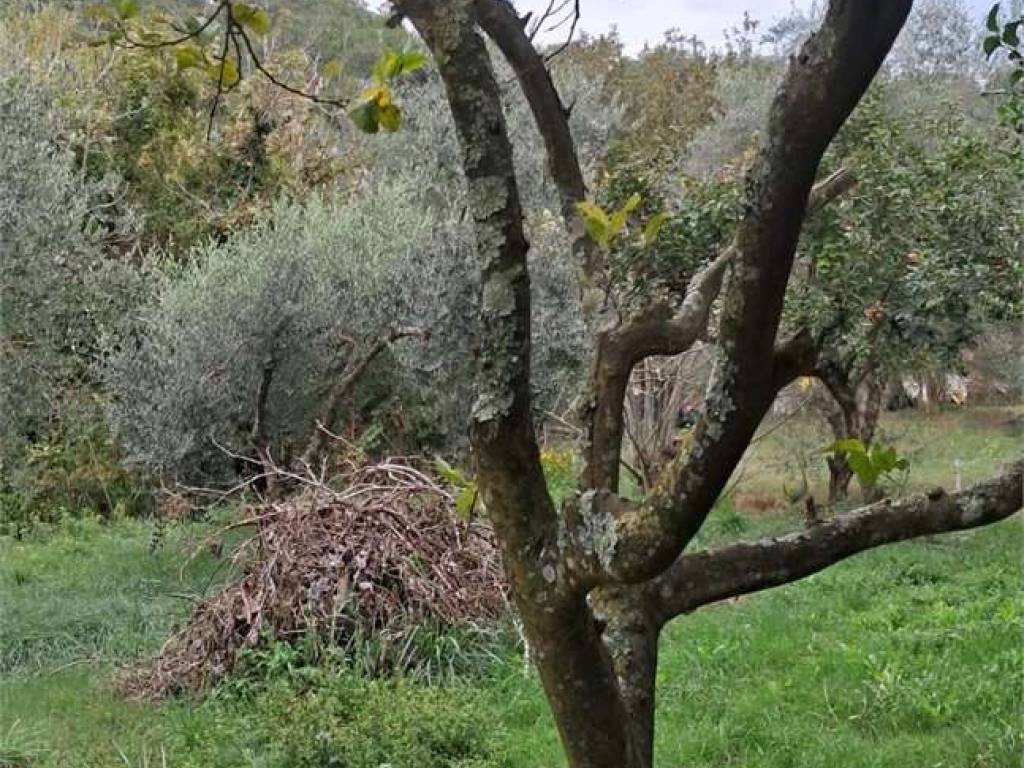 Terreno a Itri - Foto 3