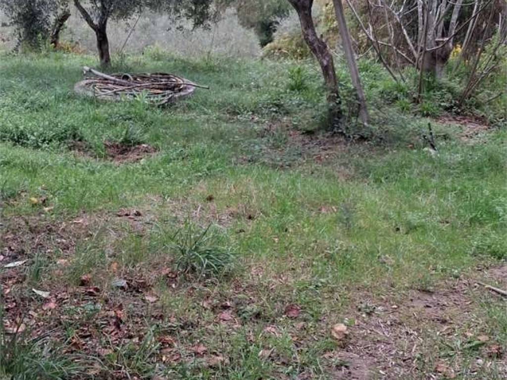 Terreno a Itri - Foto 4