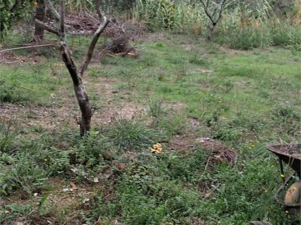 Terreno a Itri - Foto 5