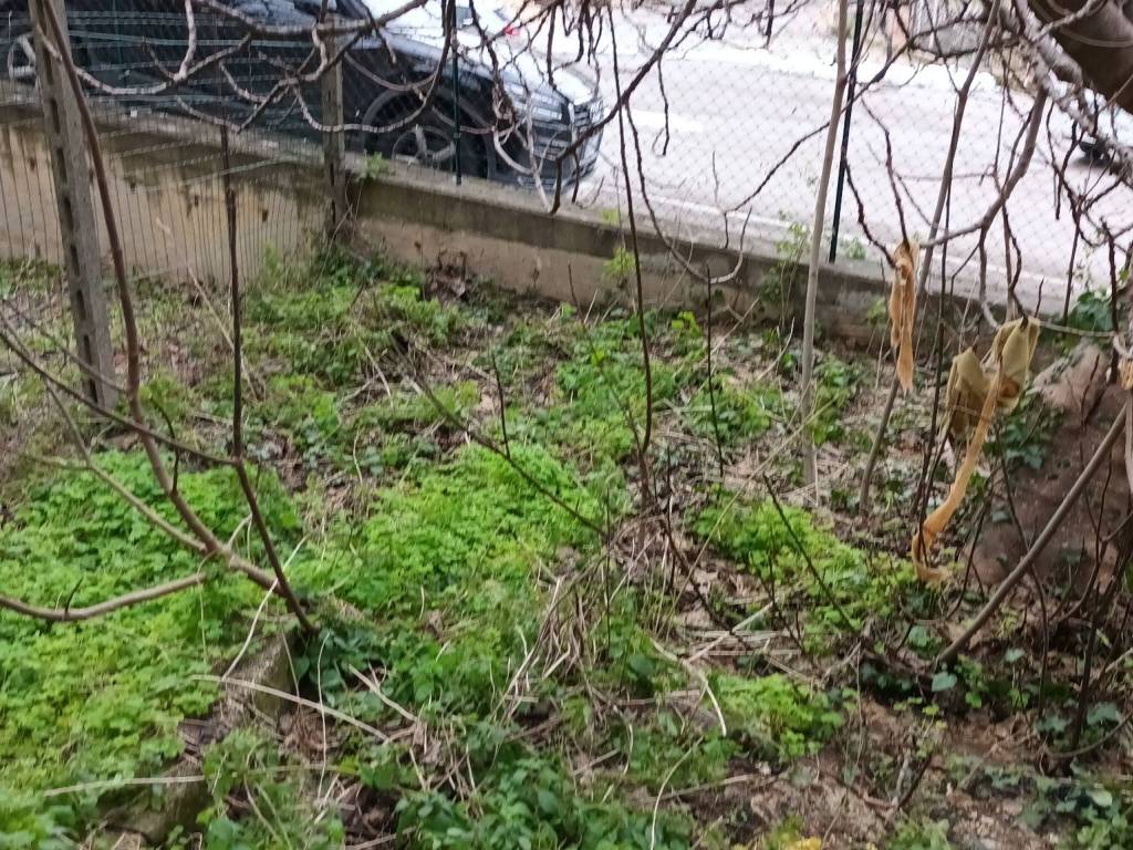 Appartamento a Gissi in Via Crocetti - Foto 3