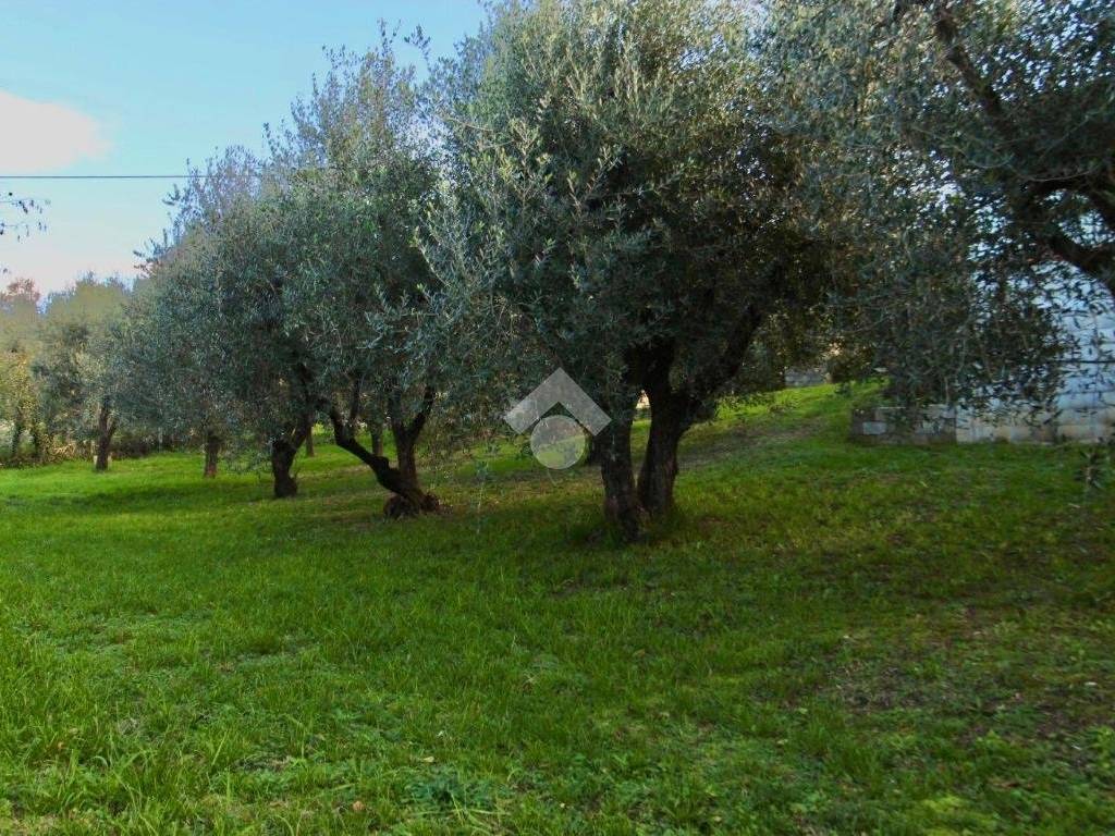 Appartamento a Larciano in Via Valle - Foto 4