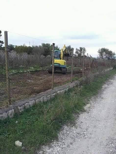 Terreno a Carlentini in Contrada Cannellazza - Foto 3