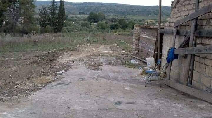 Terreno a Carlentini in Contrada Cannellazza - Foto 4