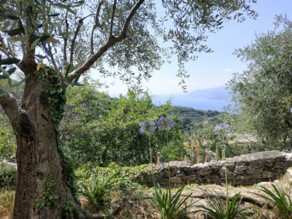 Appartamento a Camogli in Via Ansaldo, 10 - Foto 3