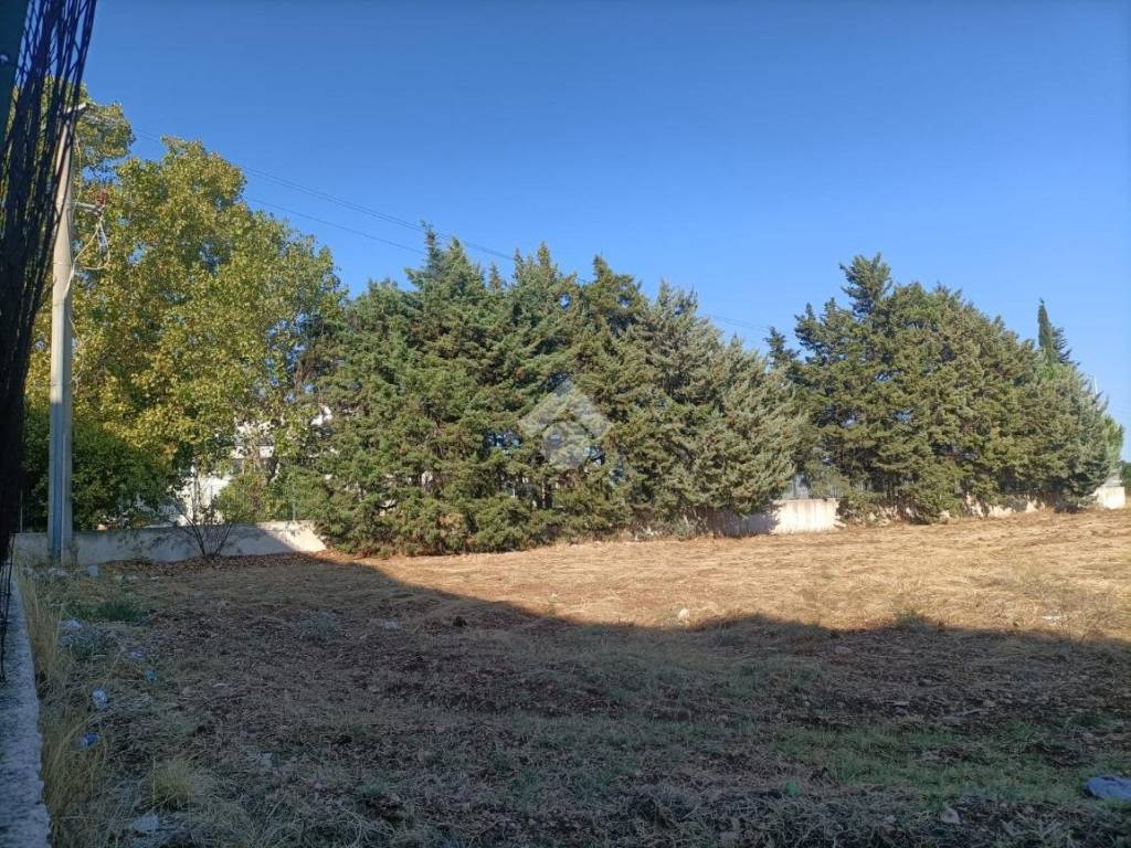 Terreno a Mola di bari in VIA DEL FRASCINARO - Foto 2