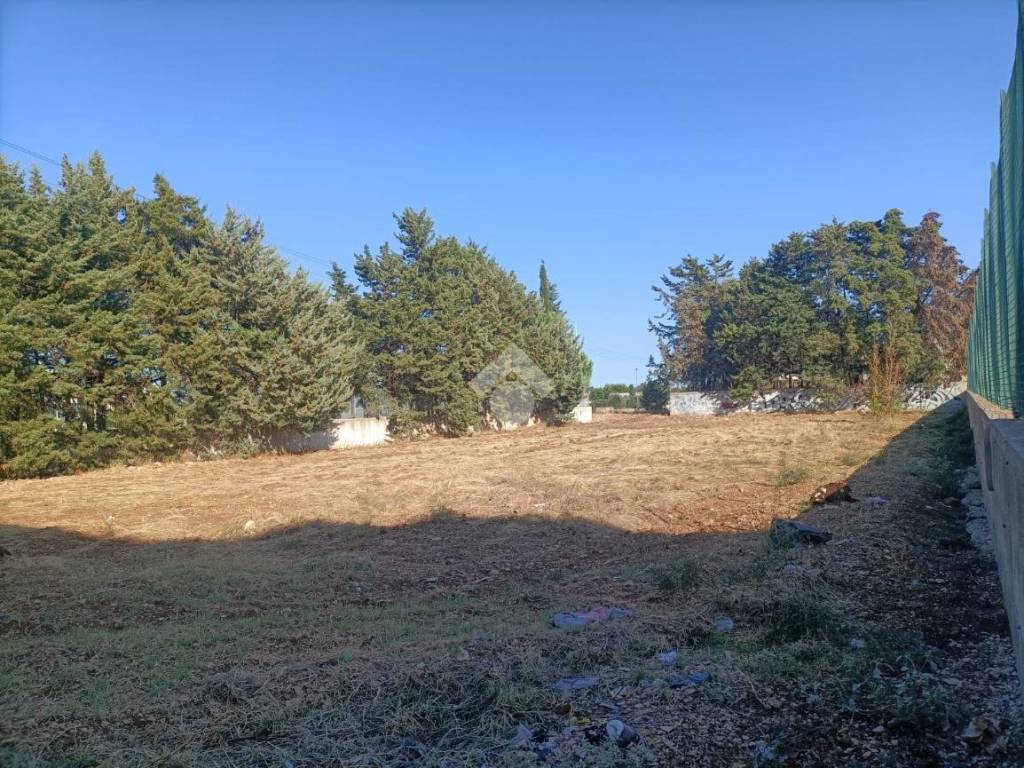 Terreno a Mola di bari in VIA DEL FRASCINARO - Foto 4