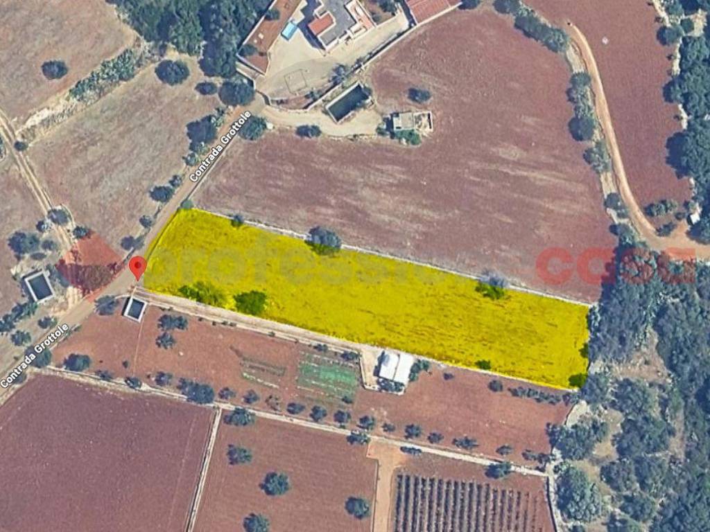 Terreno a Polignano a mare in Strada Provinciale Polignano Conversano - Foto 3