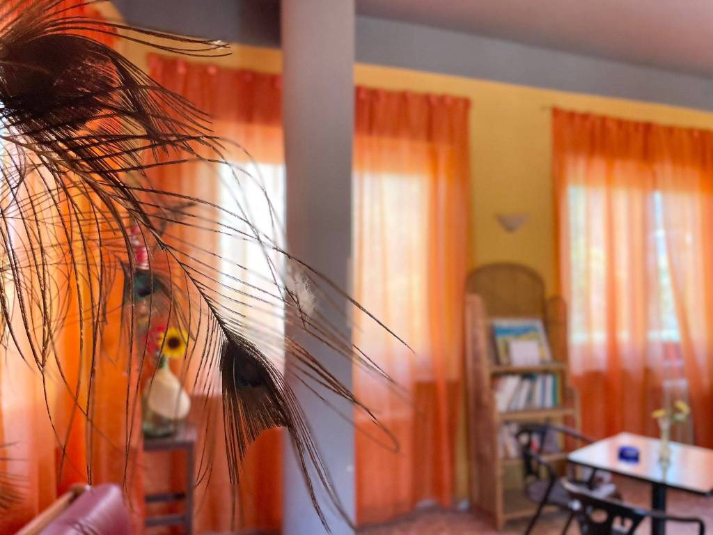 Casa indipendente a Isola del liri in Via Piscicelli, 14 - Foto 4