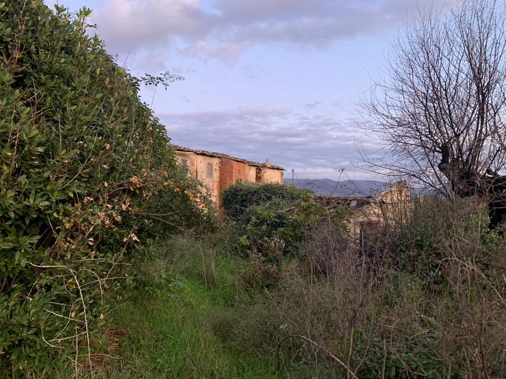 Rustico / casale a Impruneta - Foto 3