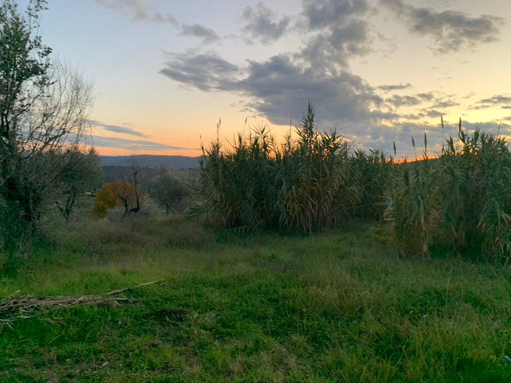 Rustico / casale a Impruneta - Foto 5
