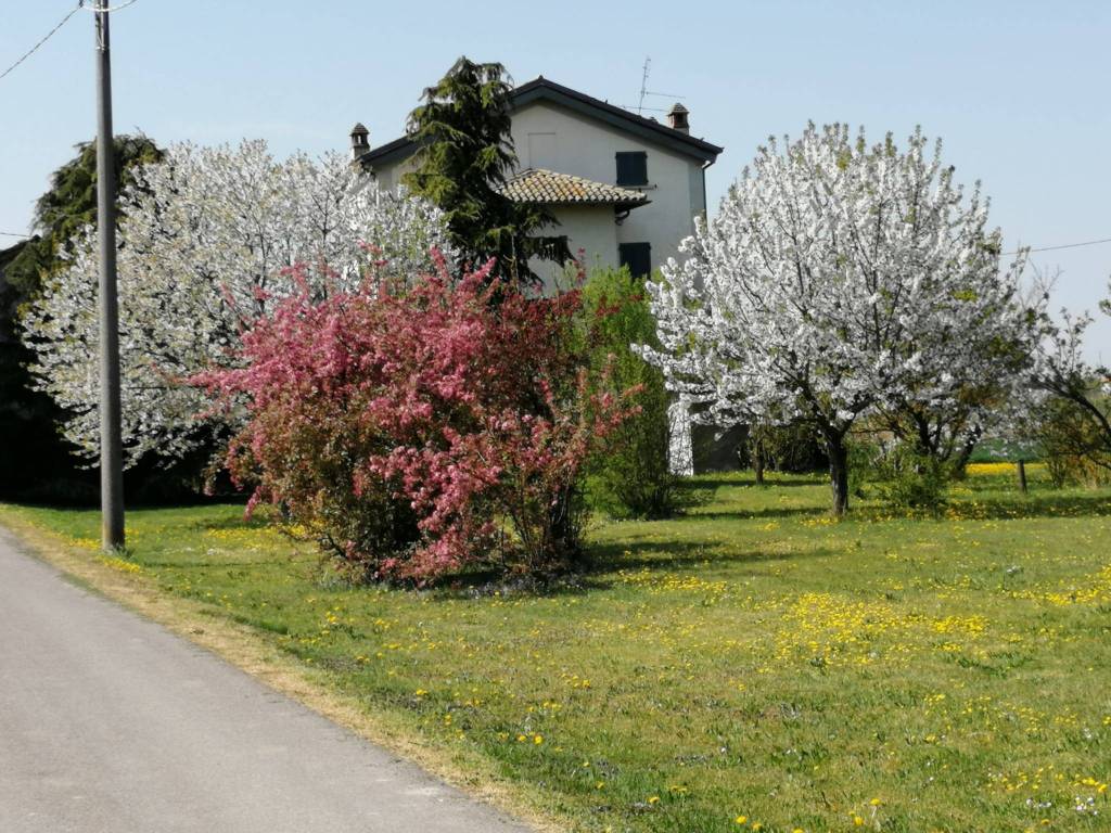 Villa a Broni in Strada Provinciale Padana Inferiore - Foto 4