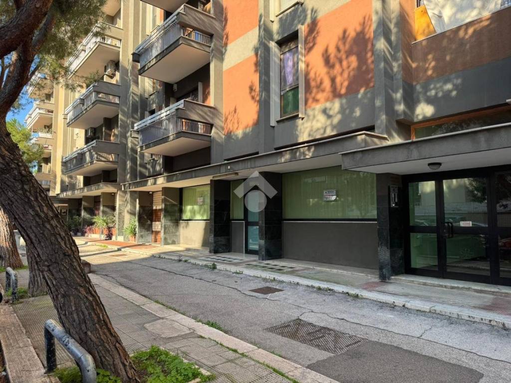 Immobile a Bari in LOCALE VIA G. PELLEGRINI, 31 - Foto 2