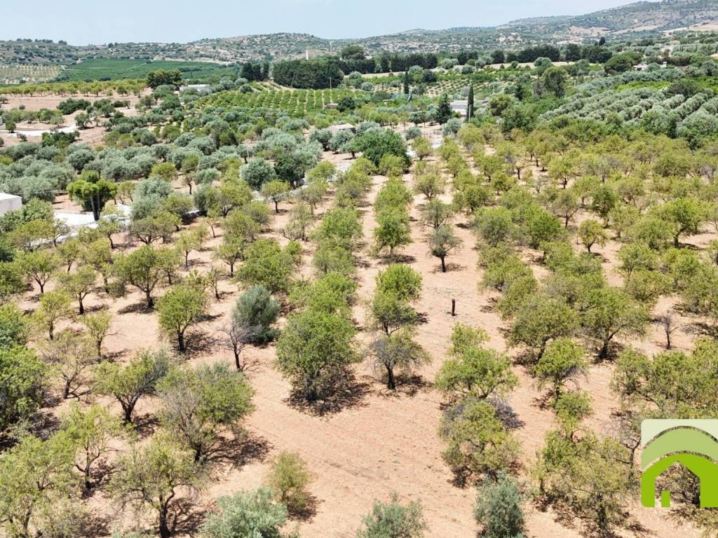 Terreno a Noto in Strada Statale Sud Occidentale Sicula - Foto 4