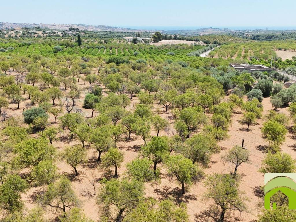 Terreno a Noto in Strada Statale Sud Occidentale Sicula - Foto 5