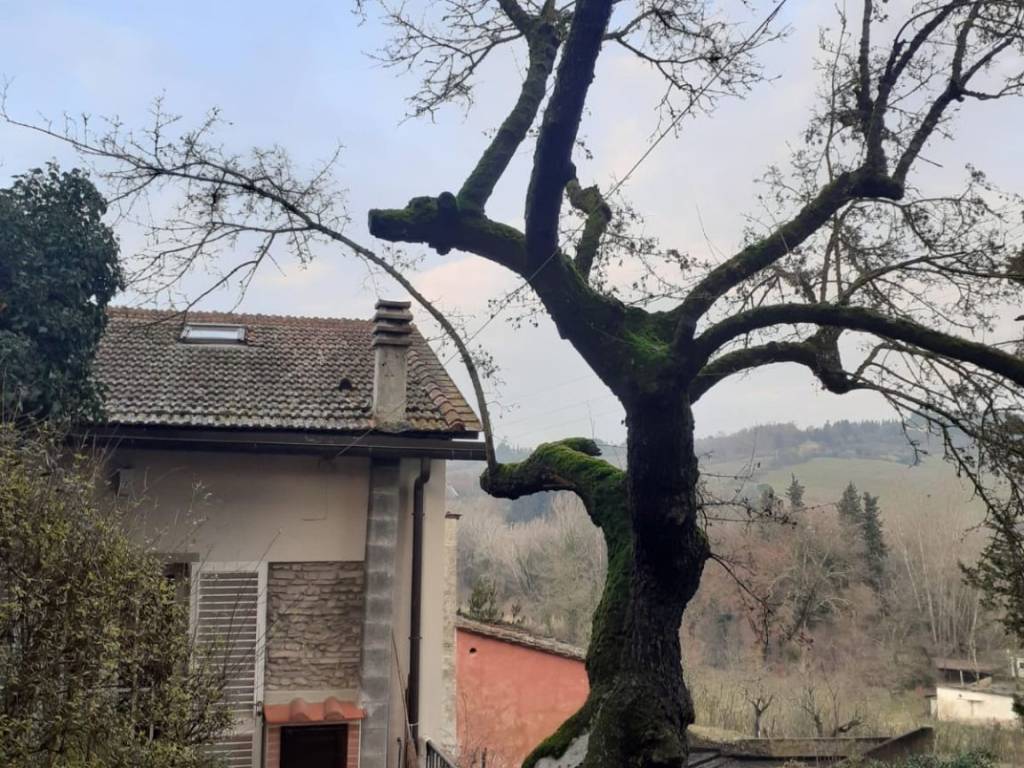 Rustico / casale a Montespertoli - Foto 2