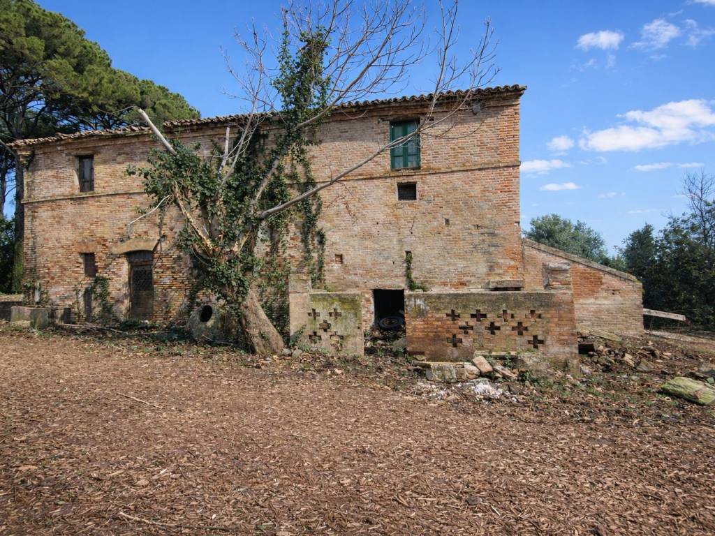 Rustico / casale a Monte san vito - Foto 3