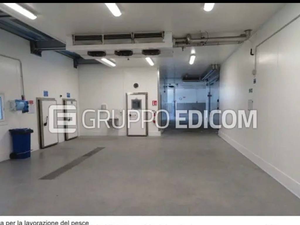 Immobile a Chioggia in Strada Statale Romea, 520 - Foto 4