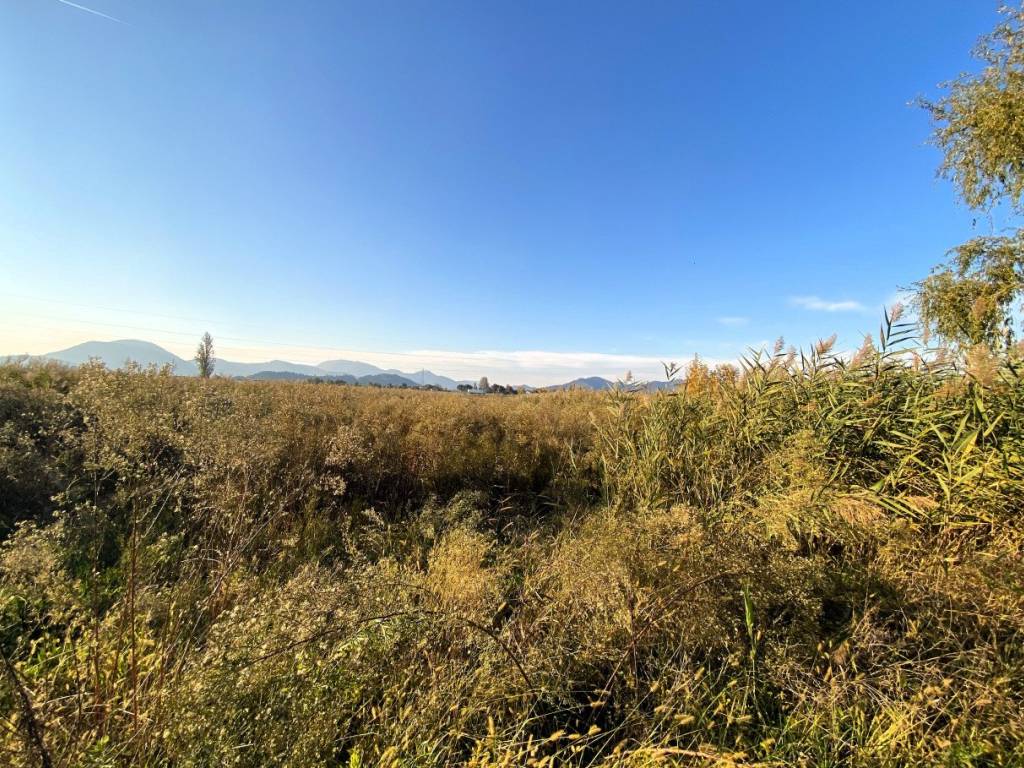 Terreno a Pernumia in Via Palù Inferiore - Foto 3