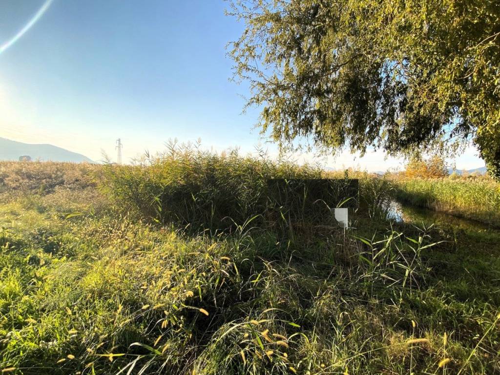 Terreno a Pernumia in Via Palù Inferiore - Foto 5