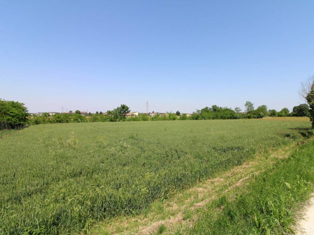 Terreno a Pernumia in Via Palù Superiore - Foto 2