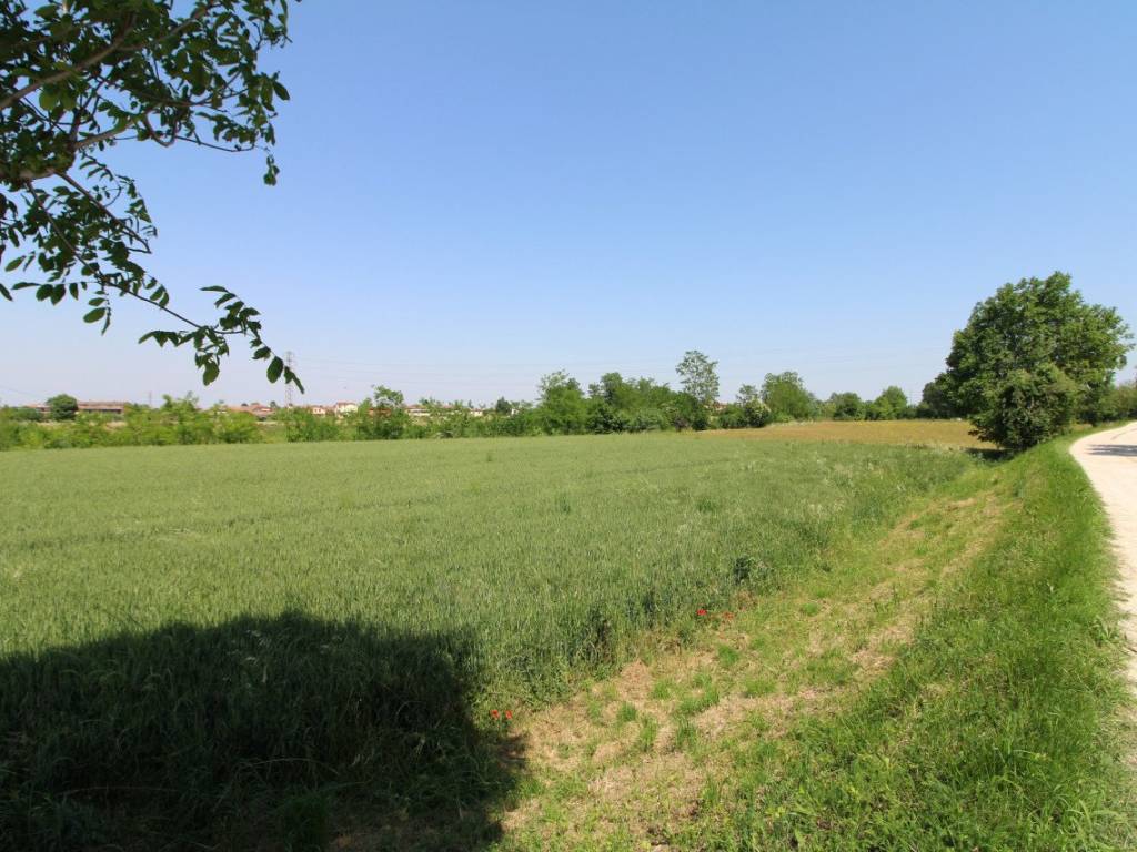 Terreno a Pernumia in Via Palù Superiore - Foto 4