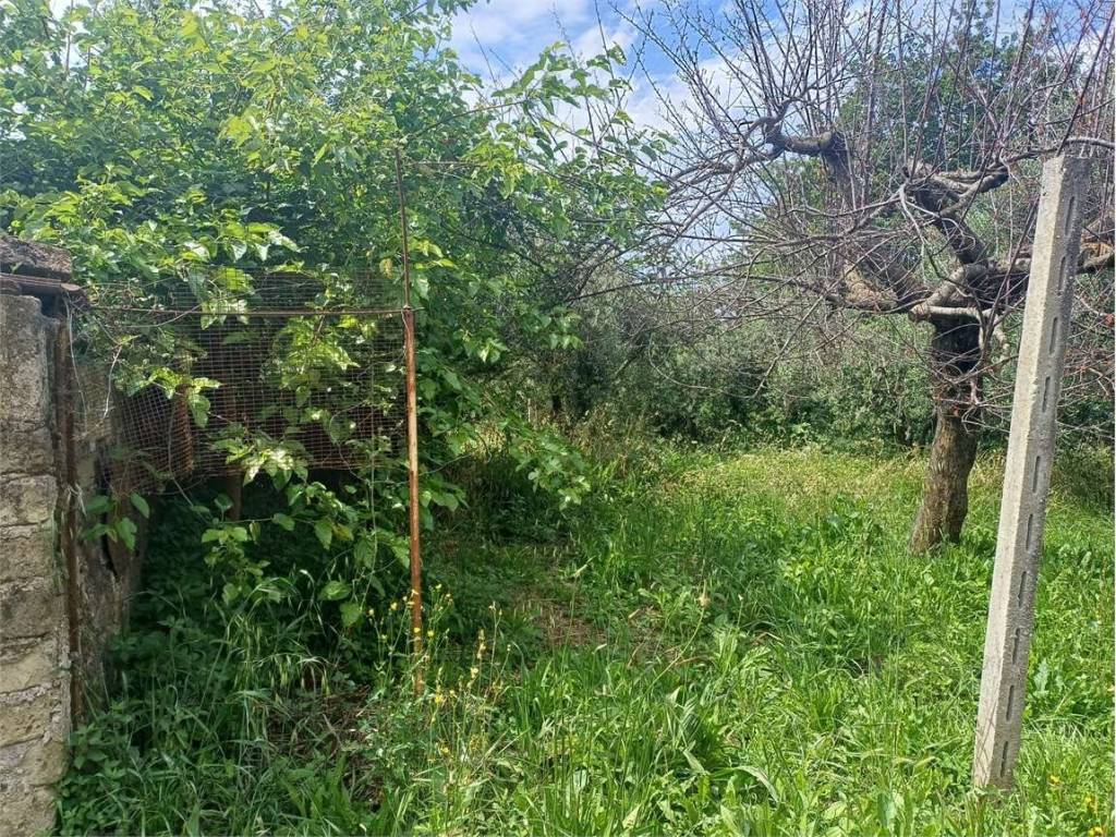 Rustico / casale a Formia - Foto 5