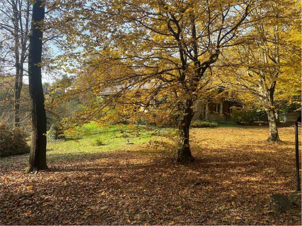 Villa a Alzate brianza in via dei platani - Foto 3