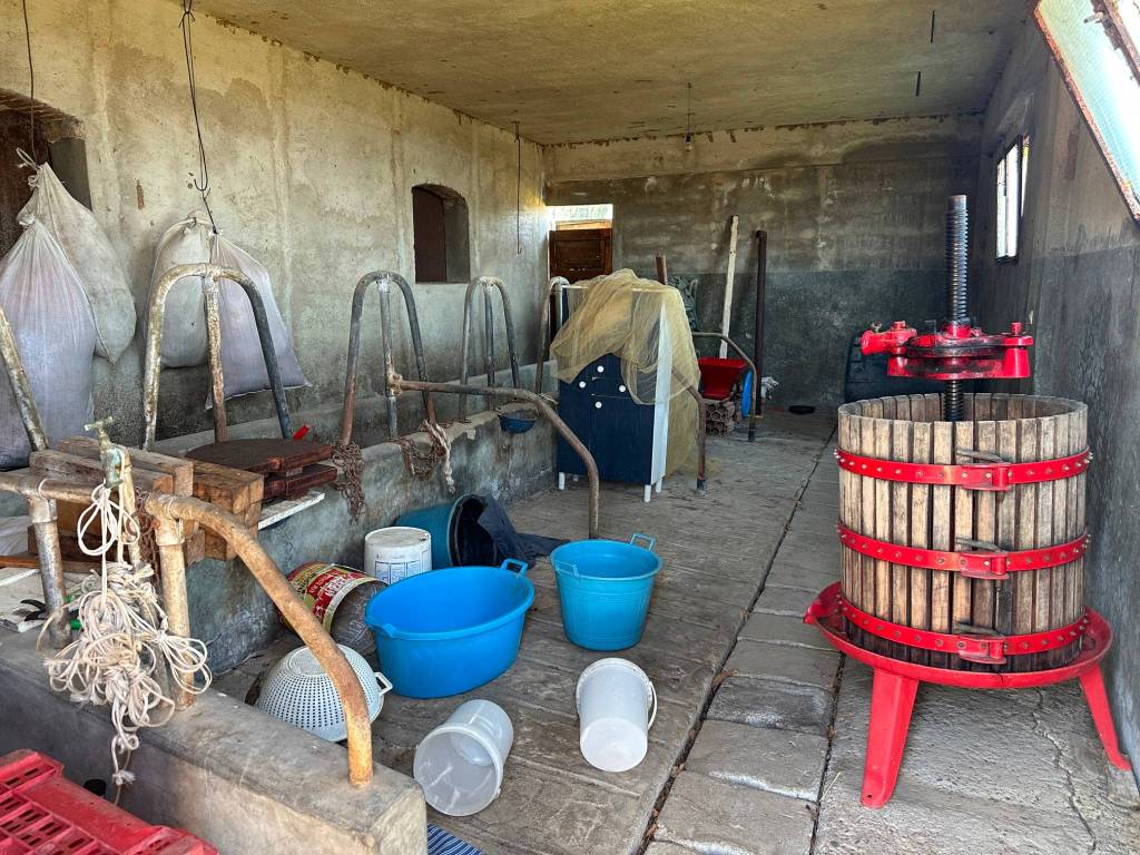 Rustico / casale a Tusa in contrada Vollina - Foto 4